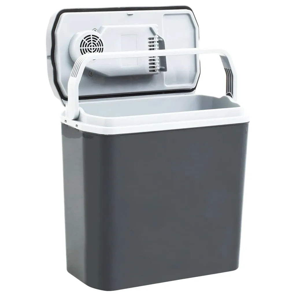  VidaXL Tragbare Thermoelektrische Kühlbox 20 L 12V 230V E