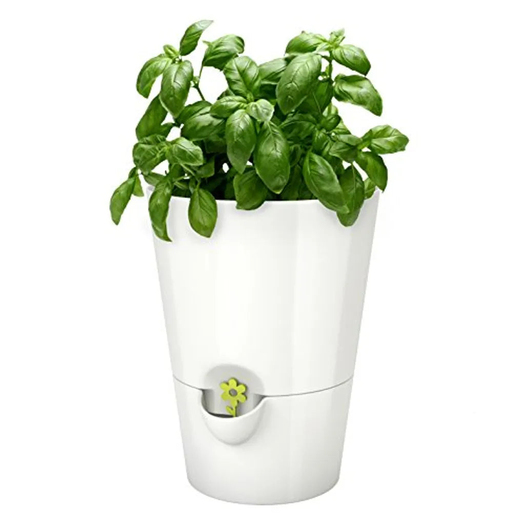  EMSA FRESH HERB Kräutertopf 13x17 Cm, Weiß, 521244