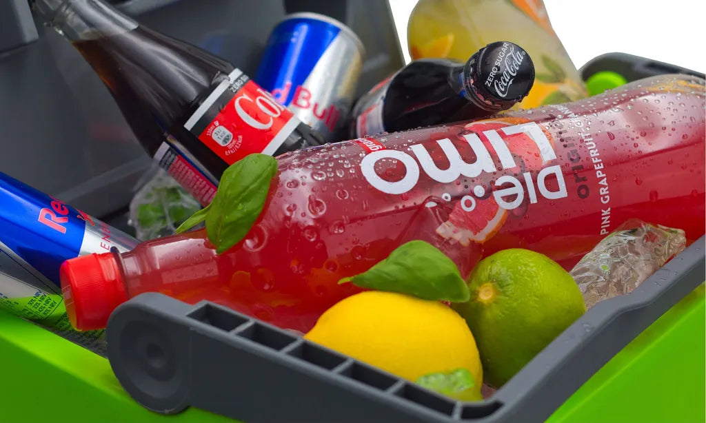  Steinborg Kühlbox 30 Liter | Warmhaltebox | Praktischer Tragegriff | Eco-Modus | 12 V/ 230 V Stromversorgung
