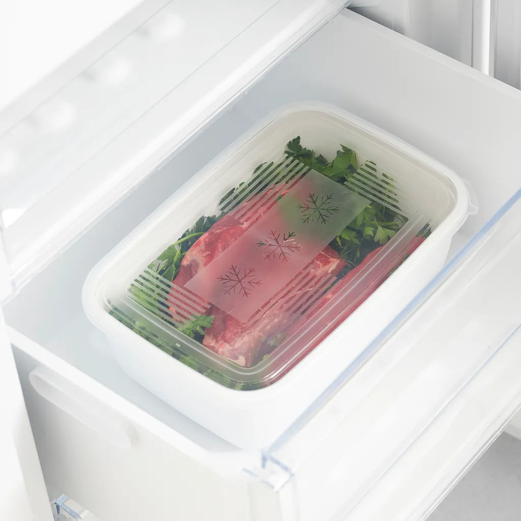 ROTHO Set Gefrierdosen 2 X 1.9 L FREEZE, Farbe:Transparent