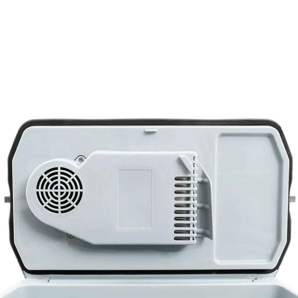  VidaXL Tragbare Thermoelektrische Kühlbox 20 L 12V 230V E