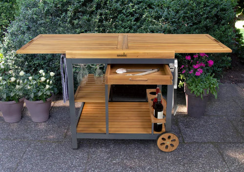  Asado Grilltisch Servierwagen Ally
