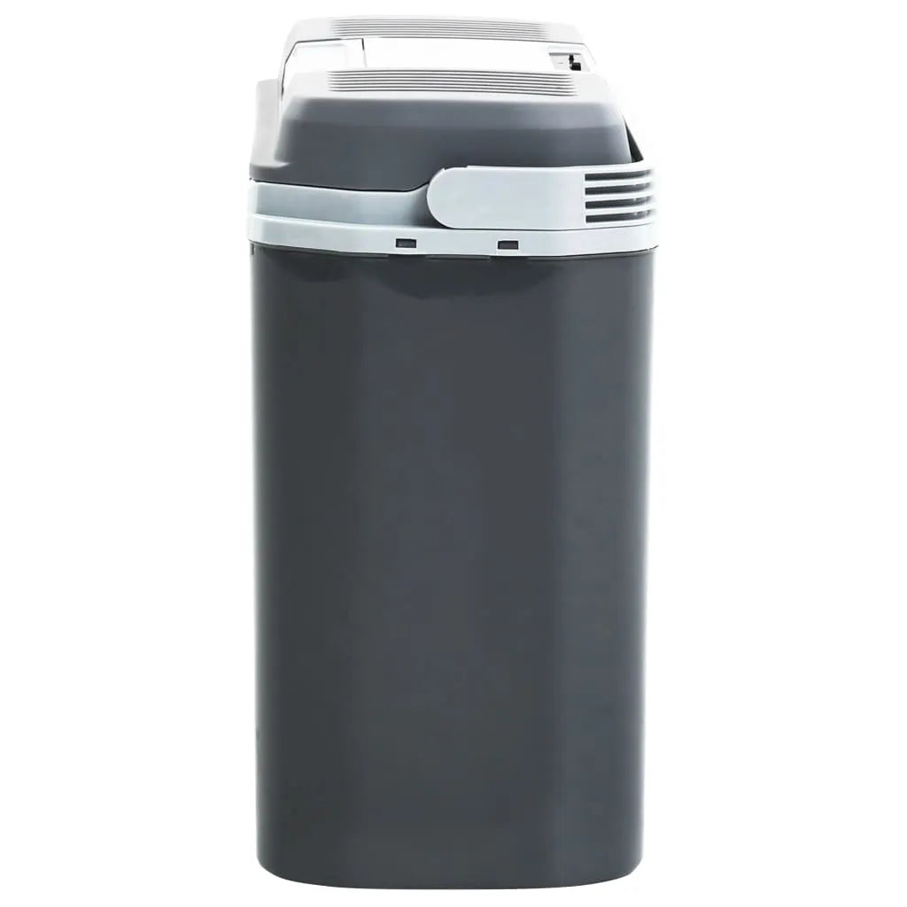  VidaXL Tragbare Thermoelektrische Kühlbox 20 L 12V 230V E
