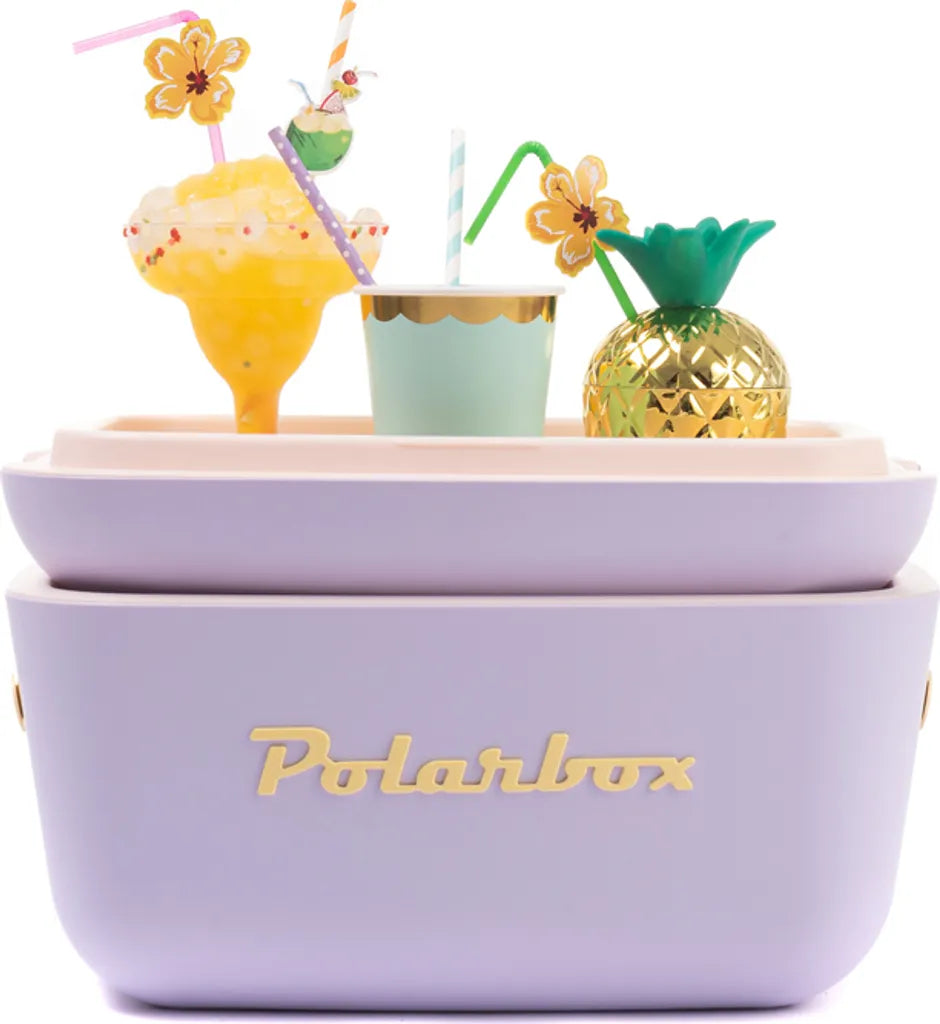  Kühlbox | Passive Kühlbox | Kühltaschen Polar In Retro Vintage Design Aus Kunststoff Mit Polystyrol (Airpop) Thermische Isolierung, 20L In Lila