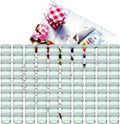 100er Set Sturzglas 125 Ml To 66 Weißer Deckel Incl. Diamant-Zucker Gelierzauber Rezeptheft