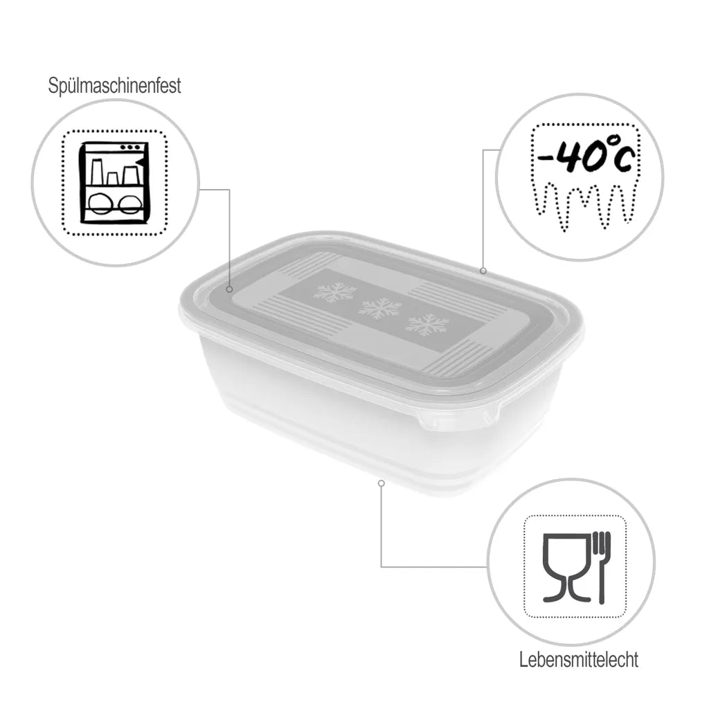ROTHO Set Gefrierdosen 2 X 1.9 L FREEZE, Farbe:Transparent