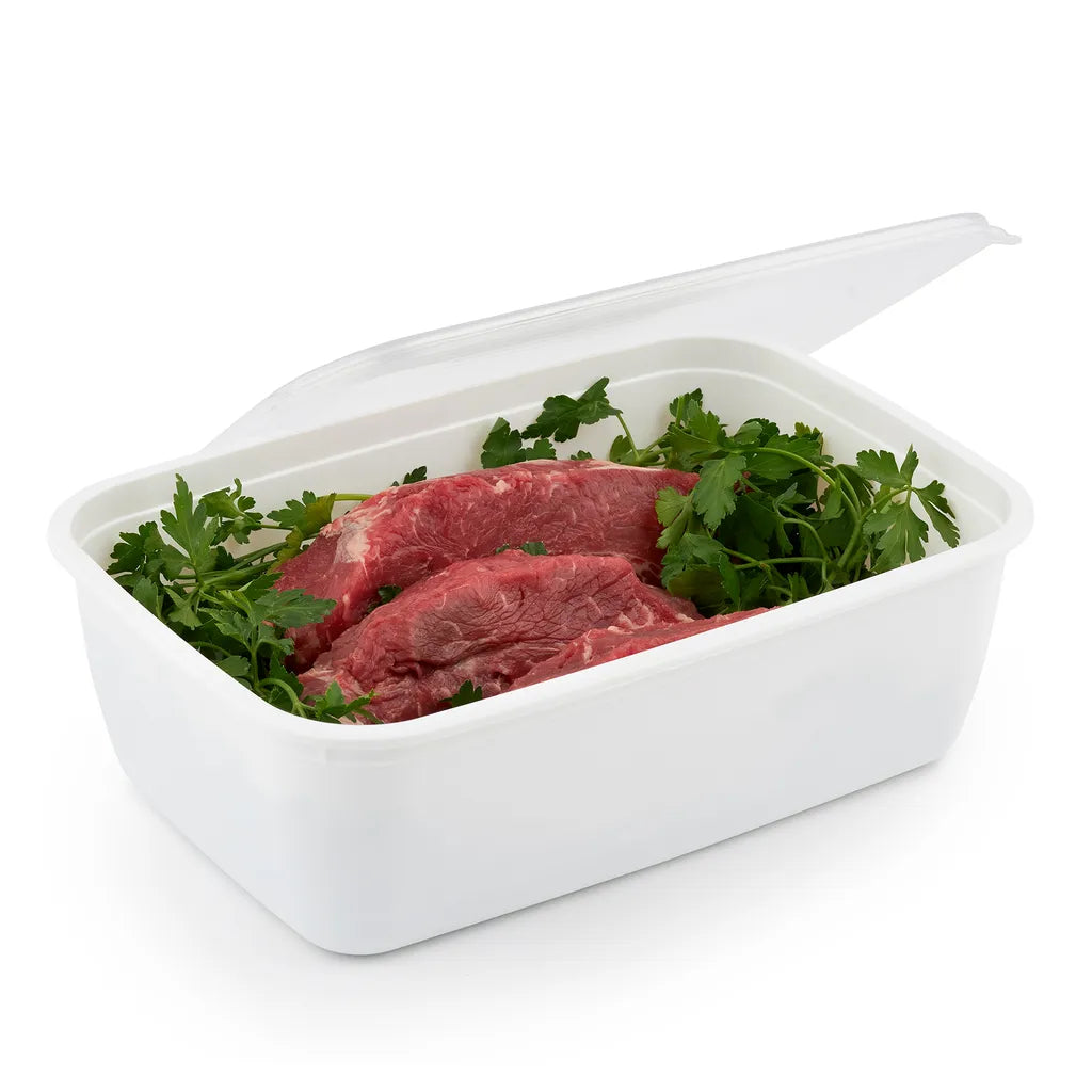 ROTHO Set Gefrierdosen 2 X 1.9 L FREEZE, Farbe:Transparent