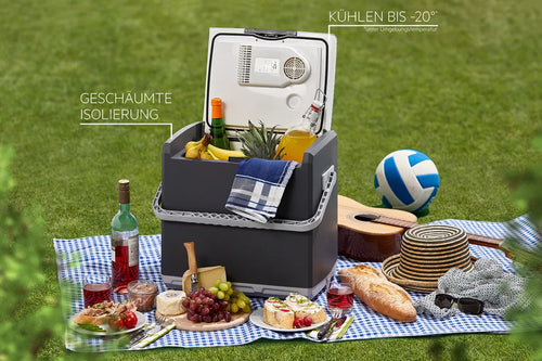  AEG Auto Kühlschrank 10697