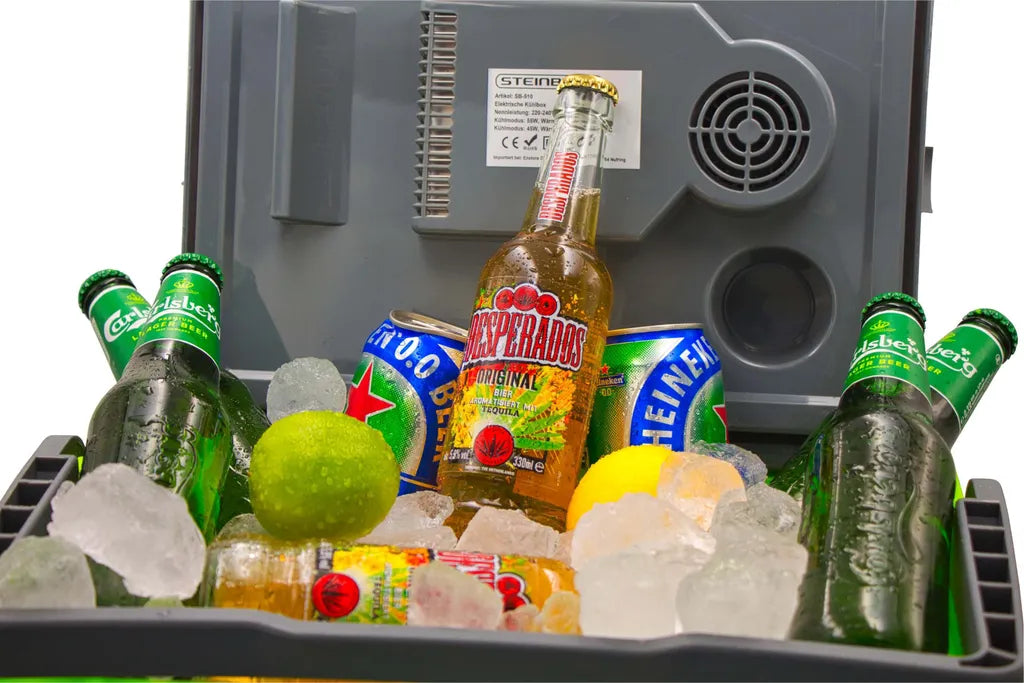  Steinborg Kühlbox 30 Liter | Warmhaltebox | Praktischer Tragegriff | Eco-Modus | 12 V/ 230 V Stromversorgung